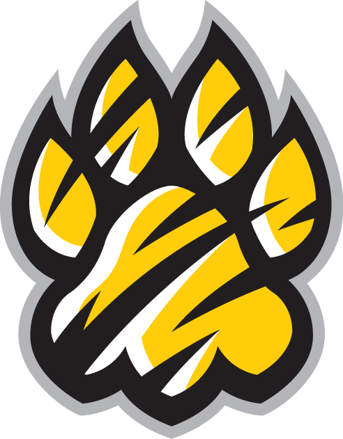 Towson Tigers 2004-Pres Alternate Logo v3 diy DTF decal sticker